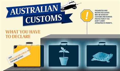 carrying fake bag through customs australia|can you bring in items australia.